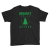 gravity falls oregon pine Youth Tee