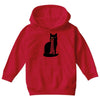barad purr Youth Hoodie