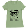 shark chart Ladies Fitted T-Shirt