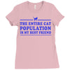 the entire cat population is my Ladies Fitted T-Shirt