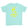 no drama llama (2) Youth Tee