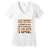 mixing languages russian english Women's V-Neck T-Shirt
