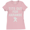 tits out for harambe Ladies Fitted T-Shirt