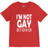 new i'm not gay but $20 is $20 V-Neck Tee