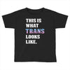 This is What Trans Looks Like Toddler T-shirt
