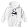 Kung Fu Panda Youth Hoodie