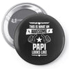 Awesome Papi Looks Like Pin-back button