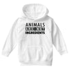 Animals Are Not Ingredients Youth Hoodie