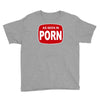 as seen in porn Youth Tee