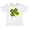 irish Toddler T-shirt