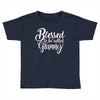 Blessed to be Called Granny Toddler T-shirt