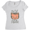 my cat is on the internet Women's Triblend Scoop T-shirt