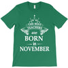 The best teachers are born in  November T-Shirt