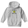 world's best aunt Youth Hoodie