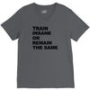 train insane or remain the same workout gym fitness exercise tee shirt V-Neck Tee