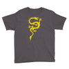 chinese dragon cool oriental asian kung fu Youth Tee