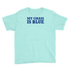 blue grass t shirt country music shirt cool tshirt harmonica banjo shi Youth Tee