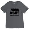 Train Insane Or Remain The Same V-Neck Tee