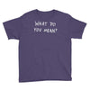 what do you mean 2016 tour Youth Tee
