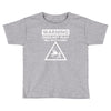warning does not play well with others Toddler T-shirt