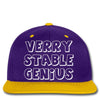 verry stable genius Snapback