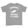 narwhals Youth Tee