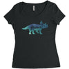 Prince Dinosaur Women's Triblend Scoop T-shirt