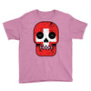 switzerland till i die Youth Tee