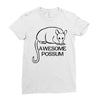 awesome Ladies Fitted T-Shirt