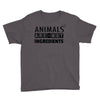 Animals Are Not Ingredients Youth Tee