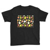 apples and pears Youth Tee