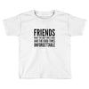 friends Toddler T-shirt
