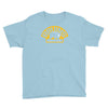 boston bruins logo Youth Tee