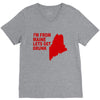 funny maine state V-Neck Tee