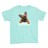 frenchies Youth Tee
