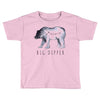 Big Dipper Toddler T-shirt