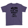 ask me about my cats Youth Tee