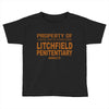 litchfiel Toddler T-shirt