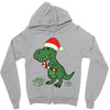 christmas dinosaur Zipper Hoodie