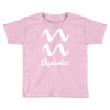 aquarius zodiac Toddler T-shirt