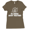 weather Ladies Fitted T-Shirt