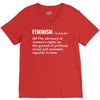 Feminism Noun V-Neck Tee