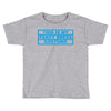 this is my fancy dress costume Toddler T-shirt