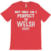 perfect welsh T-Shirt