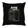 June Girl Facts Cancer Throw Pillow