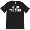 hello you c'nt T-Shirt