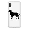 dog iPhoneX