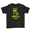 no drama llama (2) Youth Tee