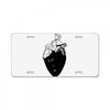 space License Plate