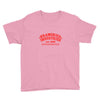 kramerica Youth Tee
